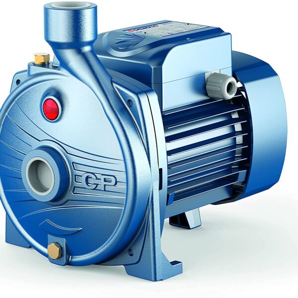 Pedrollo 1 HP Water Pump