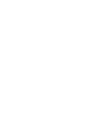 custom-logo1-by-rio-light.png