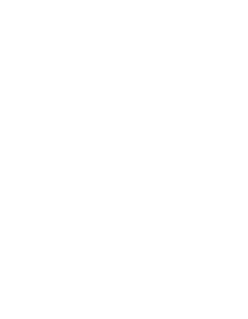 custom-logo1-by-rio-light.png