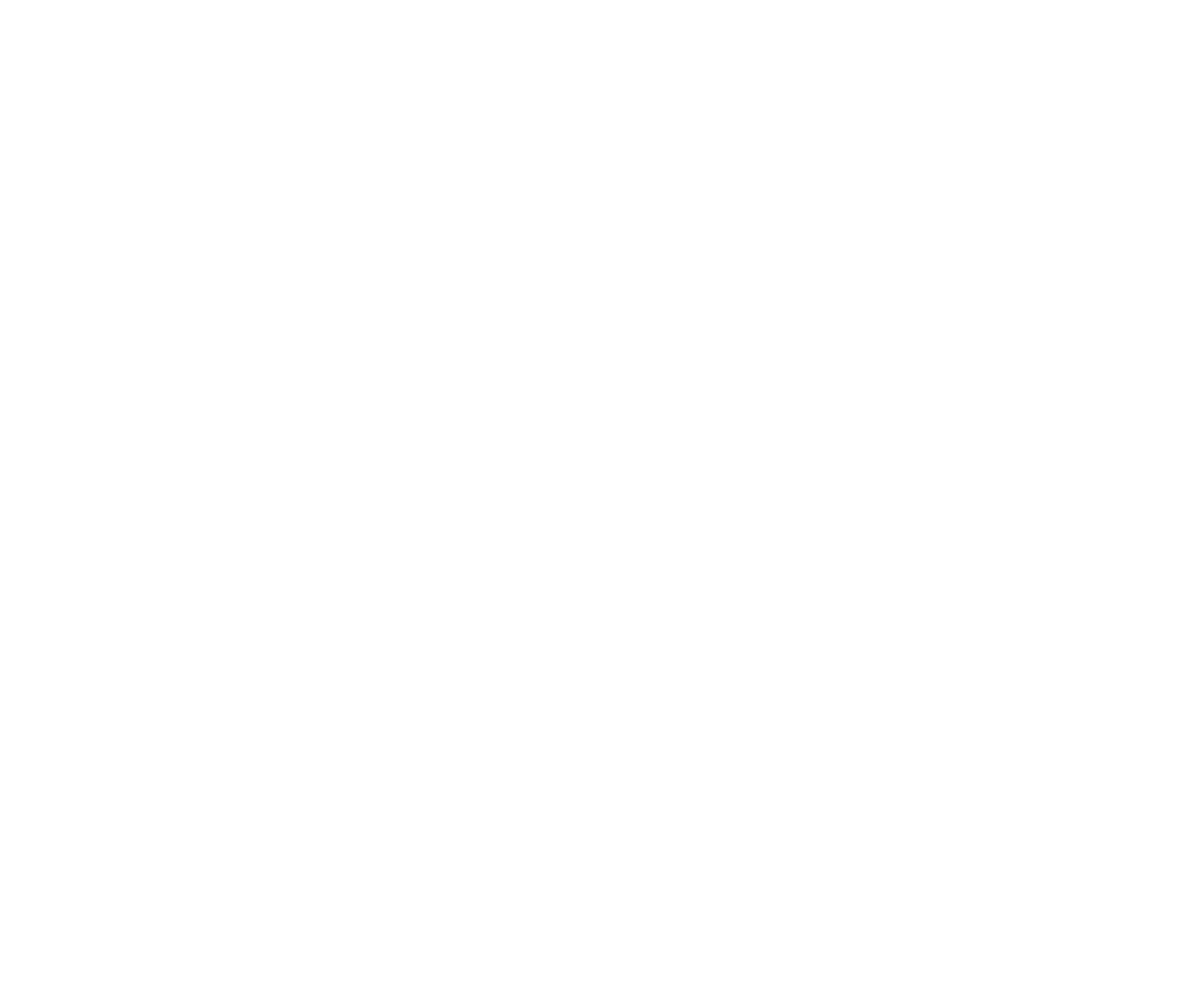 custom-logo1-by-rio-light.png