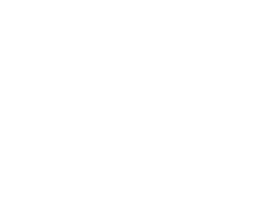 custom-logo2-by-rio-light.png
