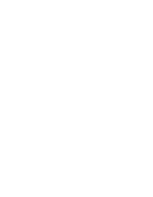 custom-logo2-by-rio-light.png