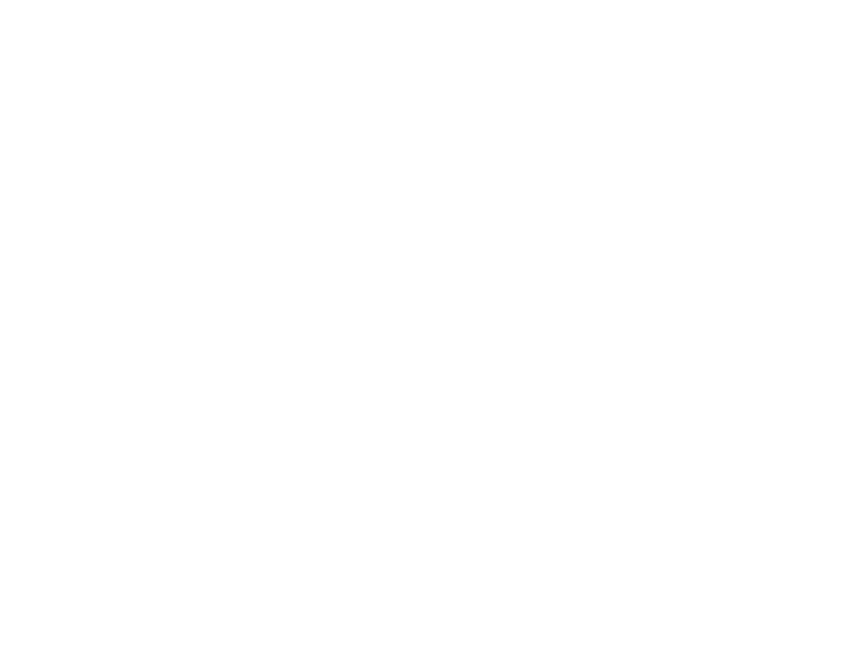 custom-logo2-by-rio-light.png