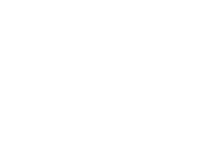 custom-logo2-by-rio-light.png