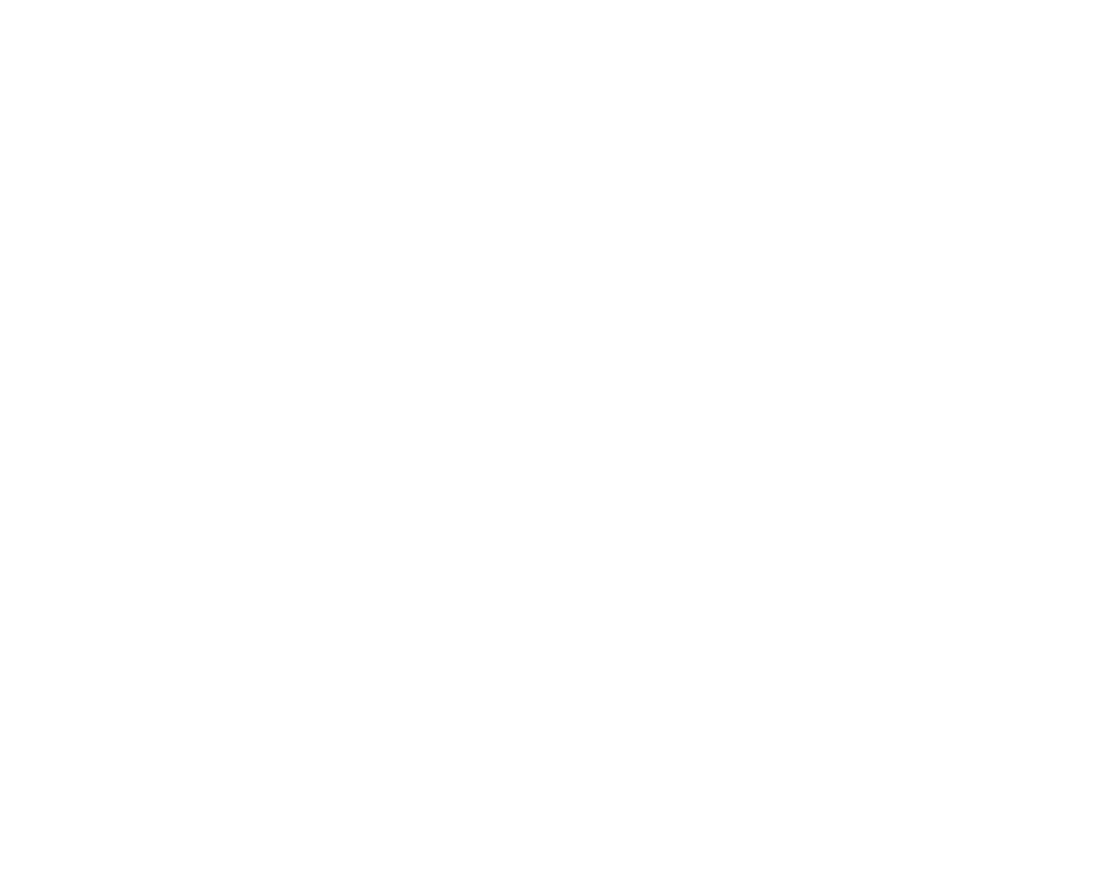 custom-logo2-by-rio-light.png