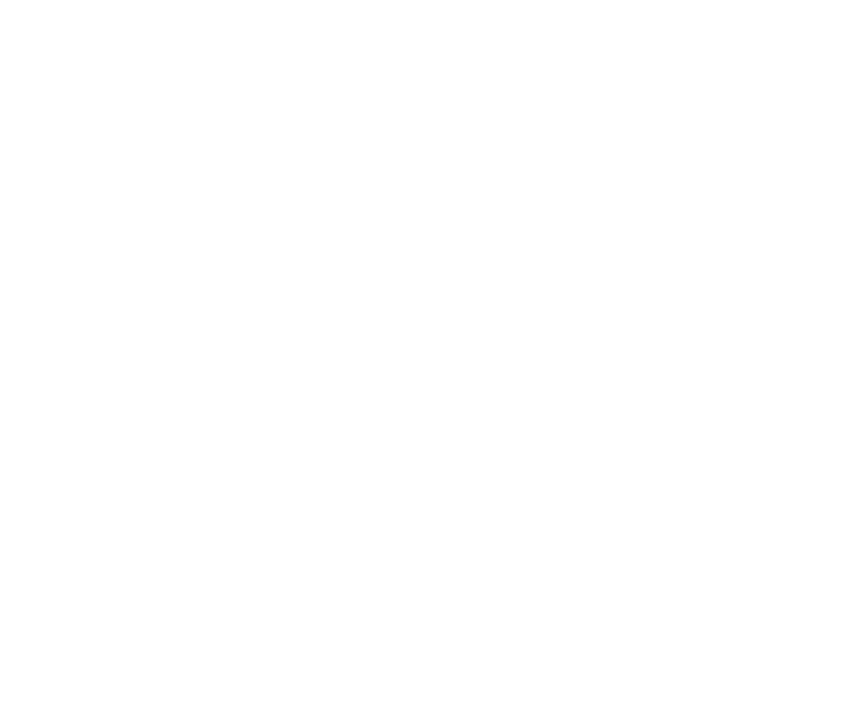 custom-logo2-by-rio-light.png