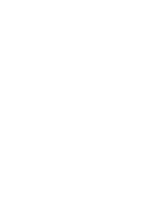 custom-logo3-by-rio-light.png