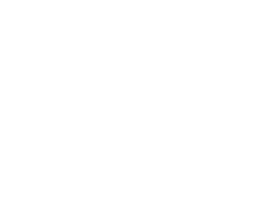 custom-logo3-by-rio-light.png