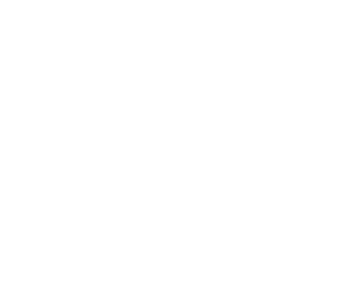 custom-logo3-by-rio-light.png
