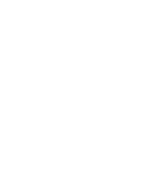 custom-logo4-by-rio-light.png