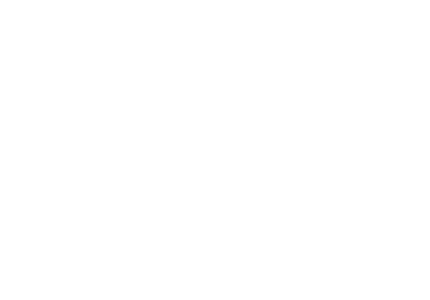 custom-logo4-by-rio-light.png