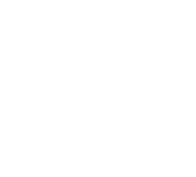 custom-logo5-by-rio-light.png