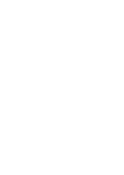 custom-logo5-by-rio-light.png