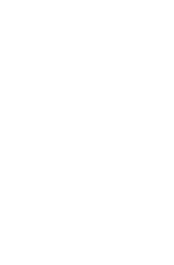 custom-logo5-by-rio-light.png