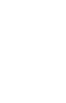 custom-logo5-by-rio-light.png