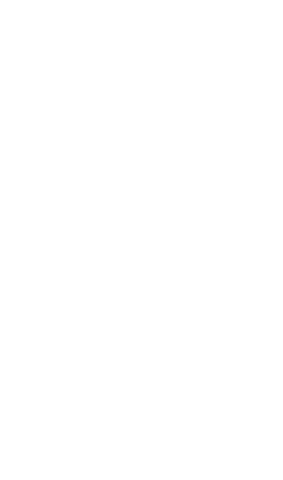 custom-logo5-by-rio-light.png