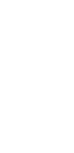 custom-logo5-by-rio-light.png