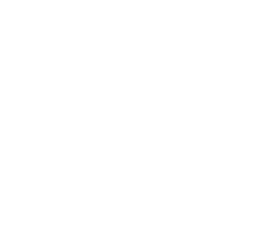 custom-logo5-by-rio-light.png