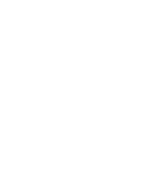 custom-logo5-by-rio-light.png