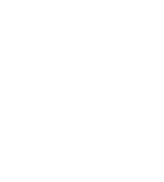 custom-logo5-by-rio-light.png