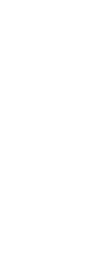 custom-logo5-by-rio-light.png