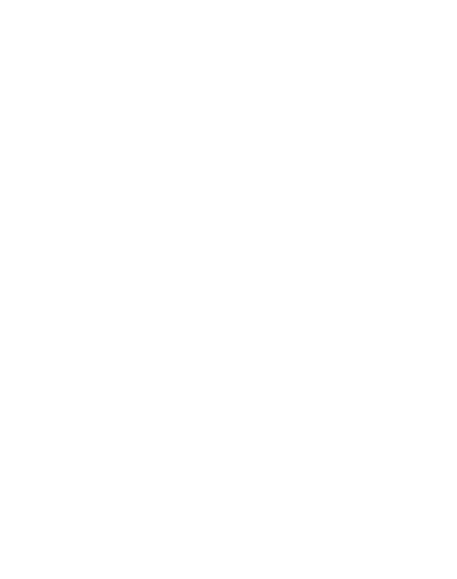 custom-logo5-by-rio-light.png
