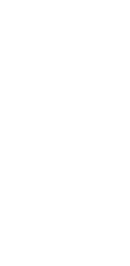 custom-logo5-by-rio-light.png