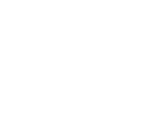 custom-logo5-by-rio-light.png