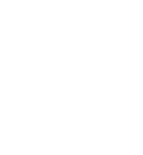 custom-logo5-by-rio-light.png