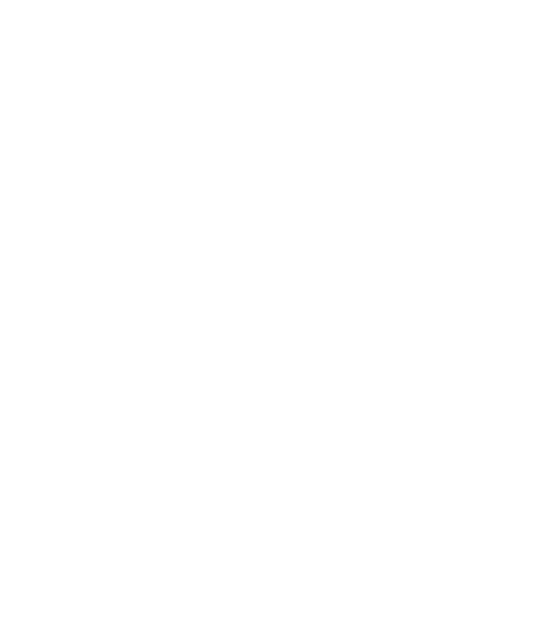 custom-logo5-by-rio-light.png