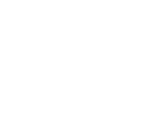 custom-logo5-by-rio-light.png