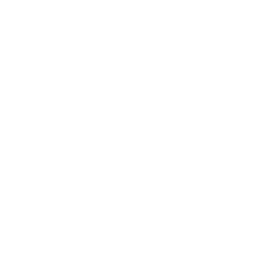 custom-logo5-by-rio-light.png