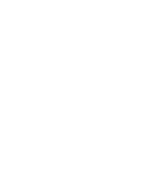 custom-logo5-by-rio-light.png