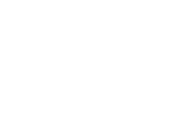 custom-logo5-by-rio-light.png