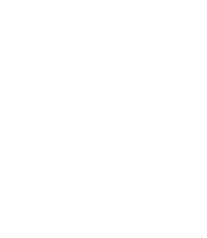 custom-logo5-by-rio-light.png