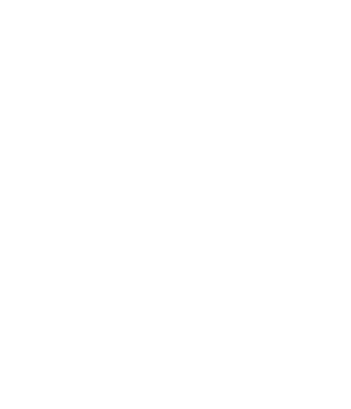 custom-logo5-by-rio-light.png