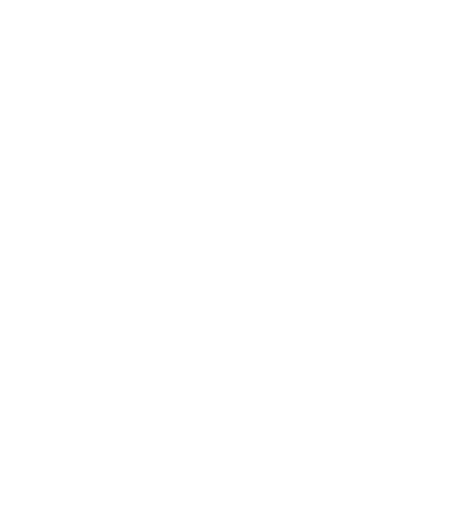 custom-logo5-by-rio-light.png